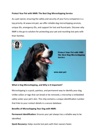 Protect Your Pet with NMR The Best Dog Microchipping Service