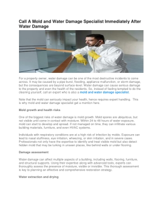 Mold and Water Damage Specialist - PuroClean Services