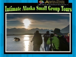 Intimate Alaska Small Group Tours