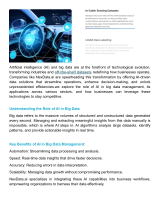 How nexdata AI is Revolutionizing Data Management in 2024