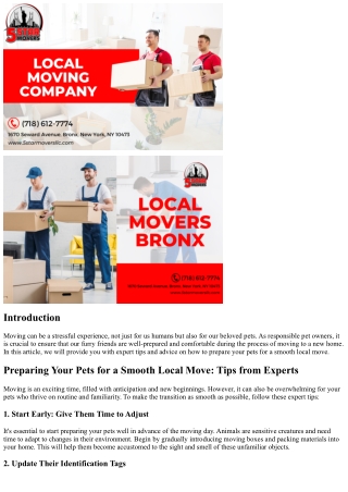 Preparing Your Pets for a Smooth Local Move: Tips from Experts