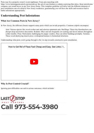 Comprehensive Guide to Pest Remediation in New Jersey Homes