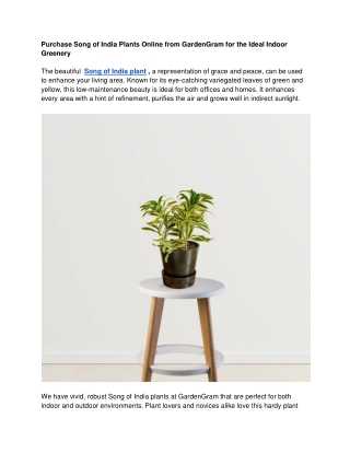 Purchase Song of India Plants Online from GardenGram for the Ideal Indoor Greenery