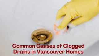 Common Causes of Clogged Drains in Vancouver Homes