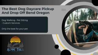 The Best Dog Daycare Pickup And Drop Off Bend Oregon