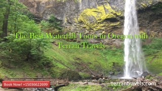 The Best Waterfall Tours in Oregon with Terran Travels