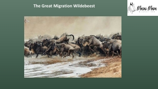 The great migration wildebeest