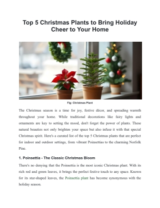 Christmas Plants to Bring Holiday Cheer to Your Home