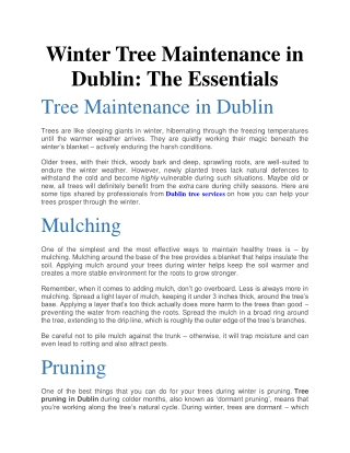 Winter Tree Maintenance in Dublin: The Essentials
