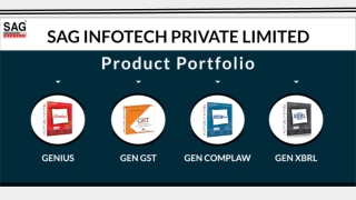 SAG Infotech: Your All-in-One Solution for Diverse Tax-Related Tasks and Service