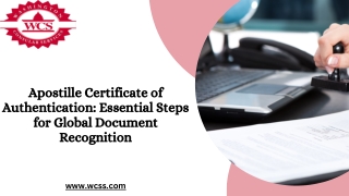 Apostille Certificate of Authentication: Essential Steps for Global Document Rec
