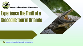 Experience the Thrill of a Crocodile Tour in Orlando