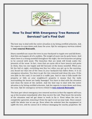 How To Deal With Emergency Tree Removal Services- Let’s Find Out