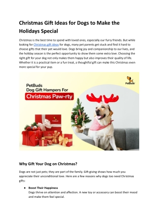 Christmas Gift Ideas for Dogs to Make the Holidays Special.docx