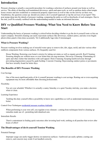 DIY vs Expert Pressure Washing: What You Required to Know Before You Begin