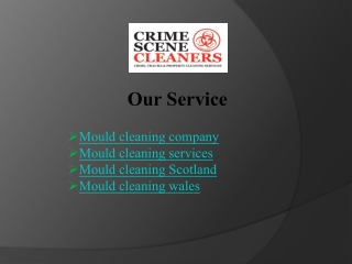 Mould Cleaning Wales - Biohazard Cleaning Company