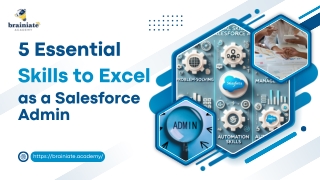 5 Essential Skills to Excel as a Salesforce Admin