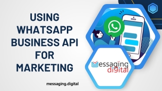 Using WhatsApp Business API for Marketing