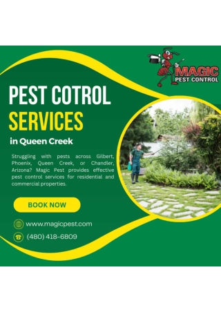 Spider Control Services at Magic Pest Control in Gilbert, Queen Creek, and Chand