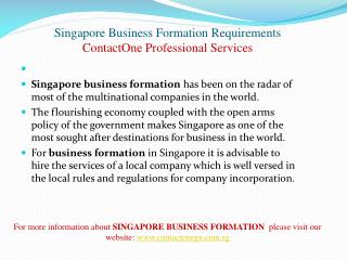 Singapore Business Startup