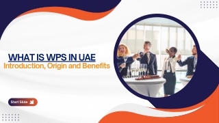 What is WPS in UAE- Introduction, Origin and Benefits