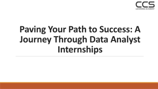 Paving Your Path to Success: A Journey Through Data Analyst Internships