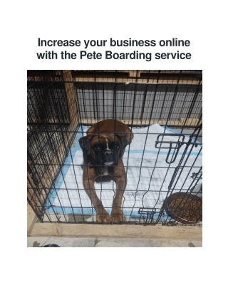 Doggone Taxi: Trusted Pet Boarding Services
