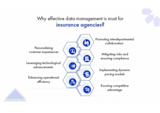 Insurance Outsourcing Services