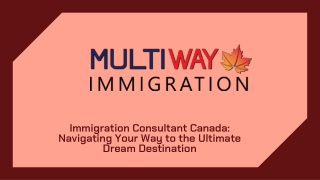 Expert Immigration Consultant Canada Your dream pathway