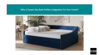 Why Is Queen Day Beds Perfect Integration For Your Home?