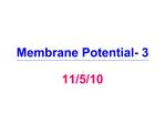 Membrane Potential- 3