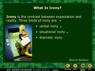 What Is Irony?