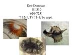 Deb Donovan BI 310 650-7251 T 12-1, Th 11-1; by appt.