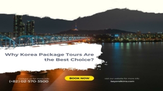 Why Korea Package Tours Are the Best Choice