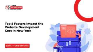 Top 5 Factors Impact the Website Development Cost In New York