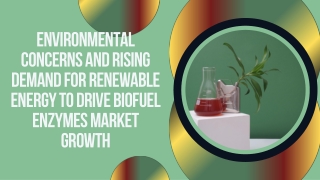 Global Biofuel Enzymes Market