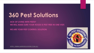 360 Pest Solutions PDF