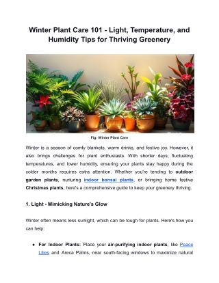 Winter Plant Care | Tips for Light, Temperature & Humidity