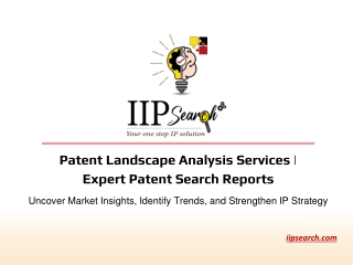 Patent Landscape Analysis Services | Expert Patent Search Reports | IIP Search