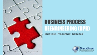 Business Process Reengineering (BPR)