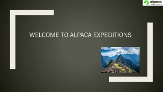 Path to Machu Picchu- A Journey with Alpaca Expeditions