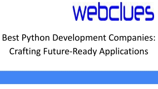 Best Python Development Companies_ Crafting Future-Ready Applications