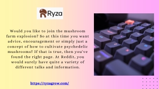 What Reddit Has to Say in Terms of Mushroom Growing Kit