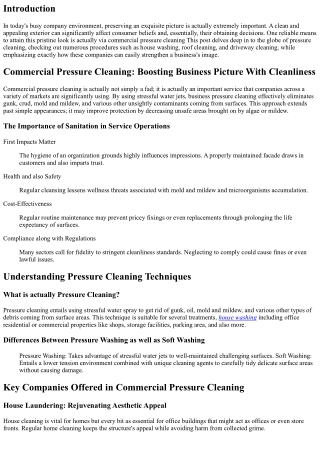 Industrial Pressure Cleaning: Boosting Company Graphic With Sanitation