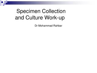 Specimen Collection and Culture Work-up