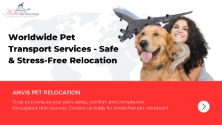 Global Pet Moving Services – Stress-Free International Relocation