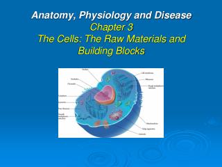 Anatomy, Physiology and Disease Chapter 3 The Cells: The Raw Materials and Building Blocks
