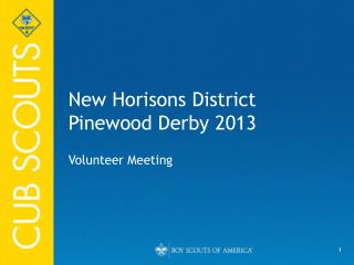 New Horisons District Pinewood Derby 2013