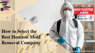 Select the Best Houston Mold Removal Company