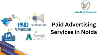 Paid Advertising Services in Noida